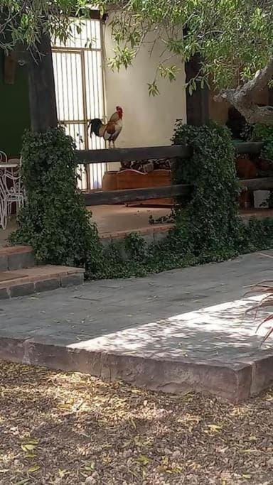 La Traviesa House in Valencian Community