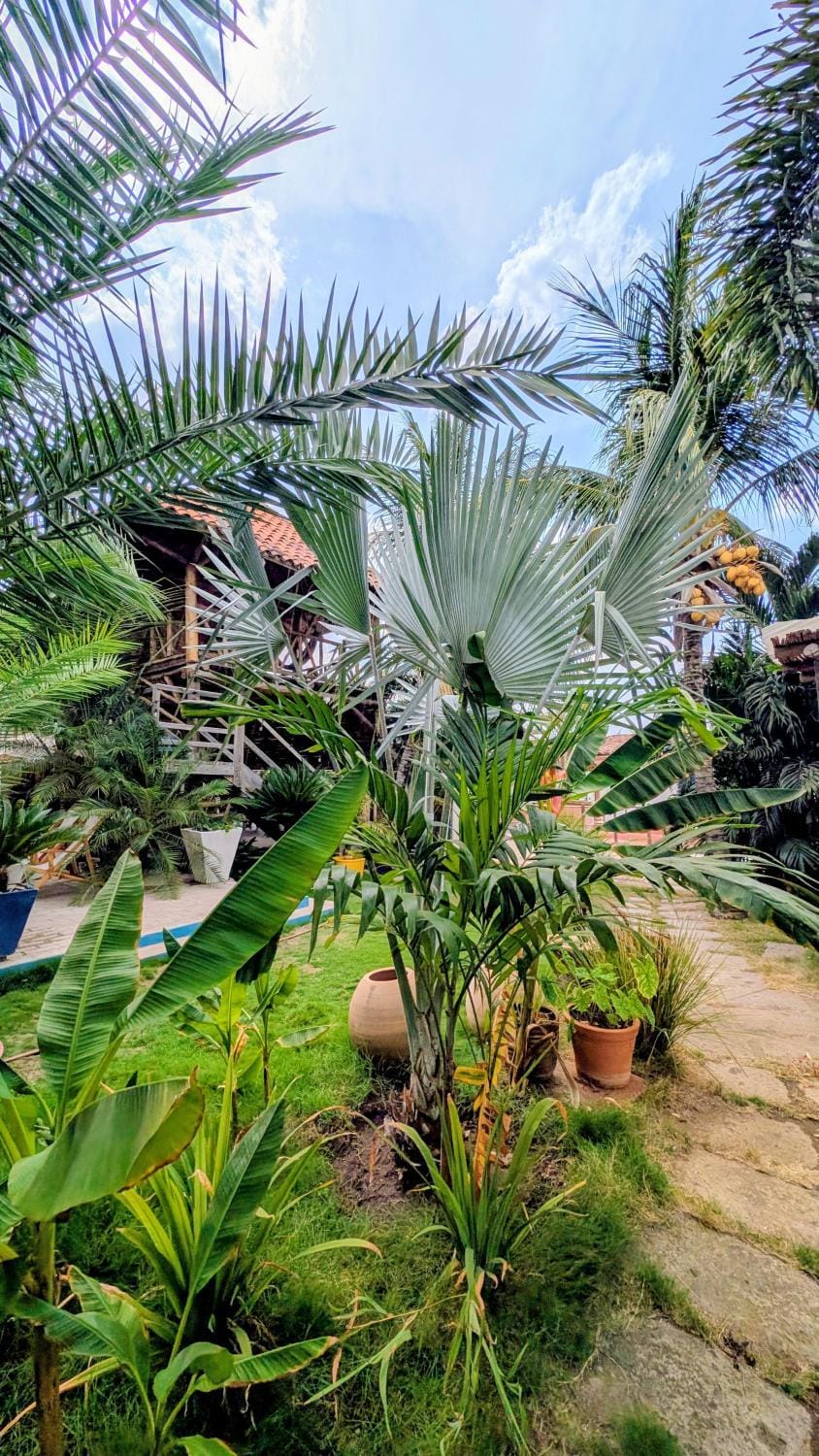 Nuevo NAYAL Hotel in Nicaragua