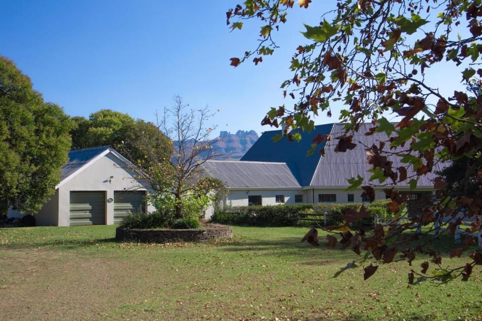 Property building, Garden view