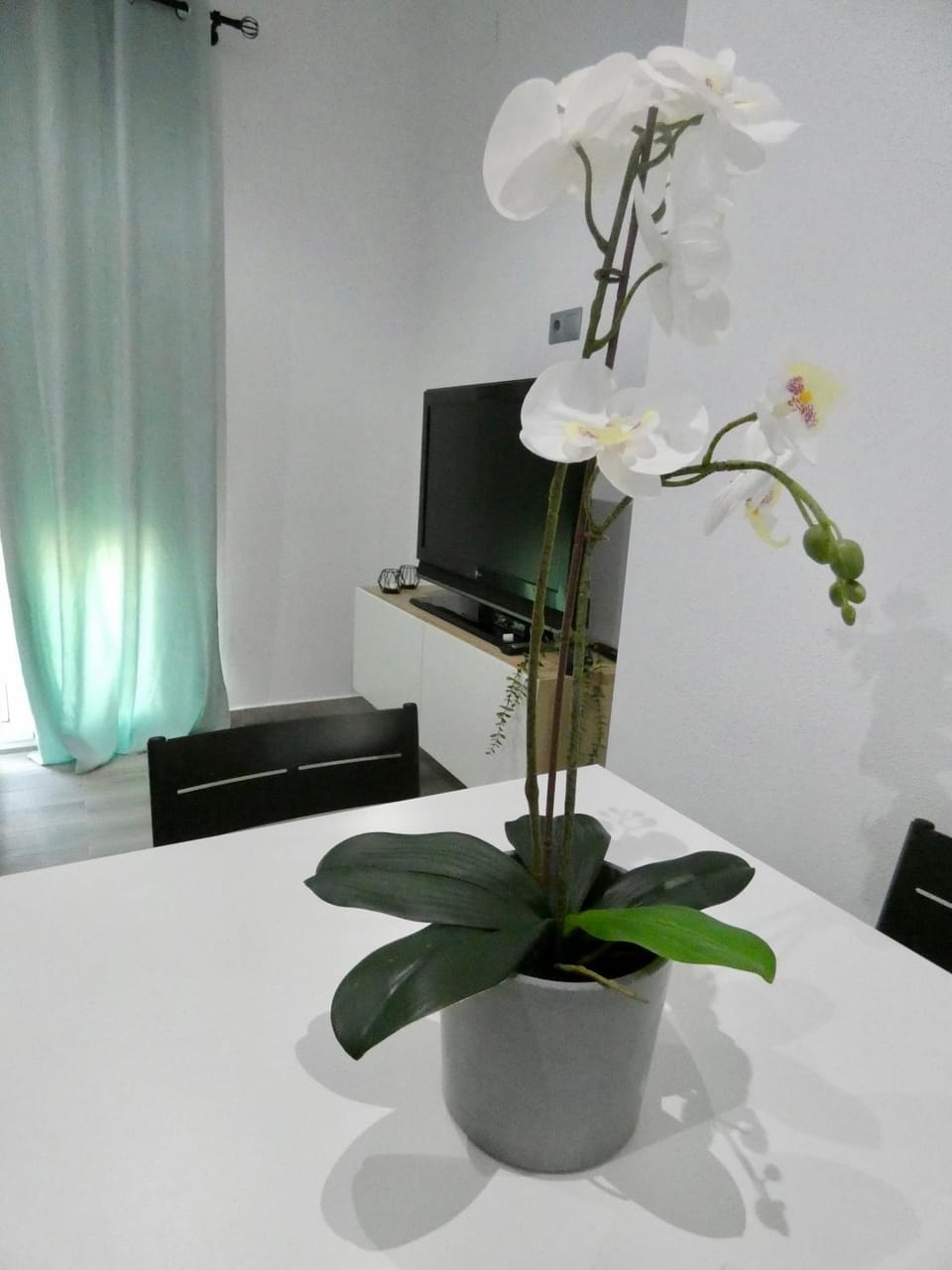 Casa Monturrio Apartment in Costa de la Luz