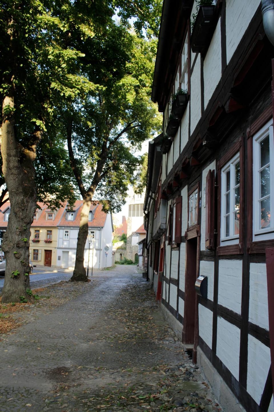 Neighbourhood