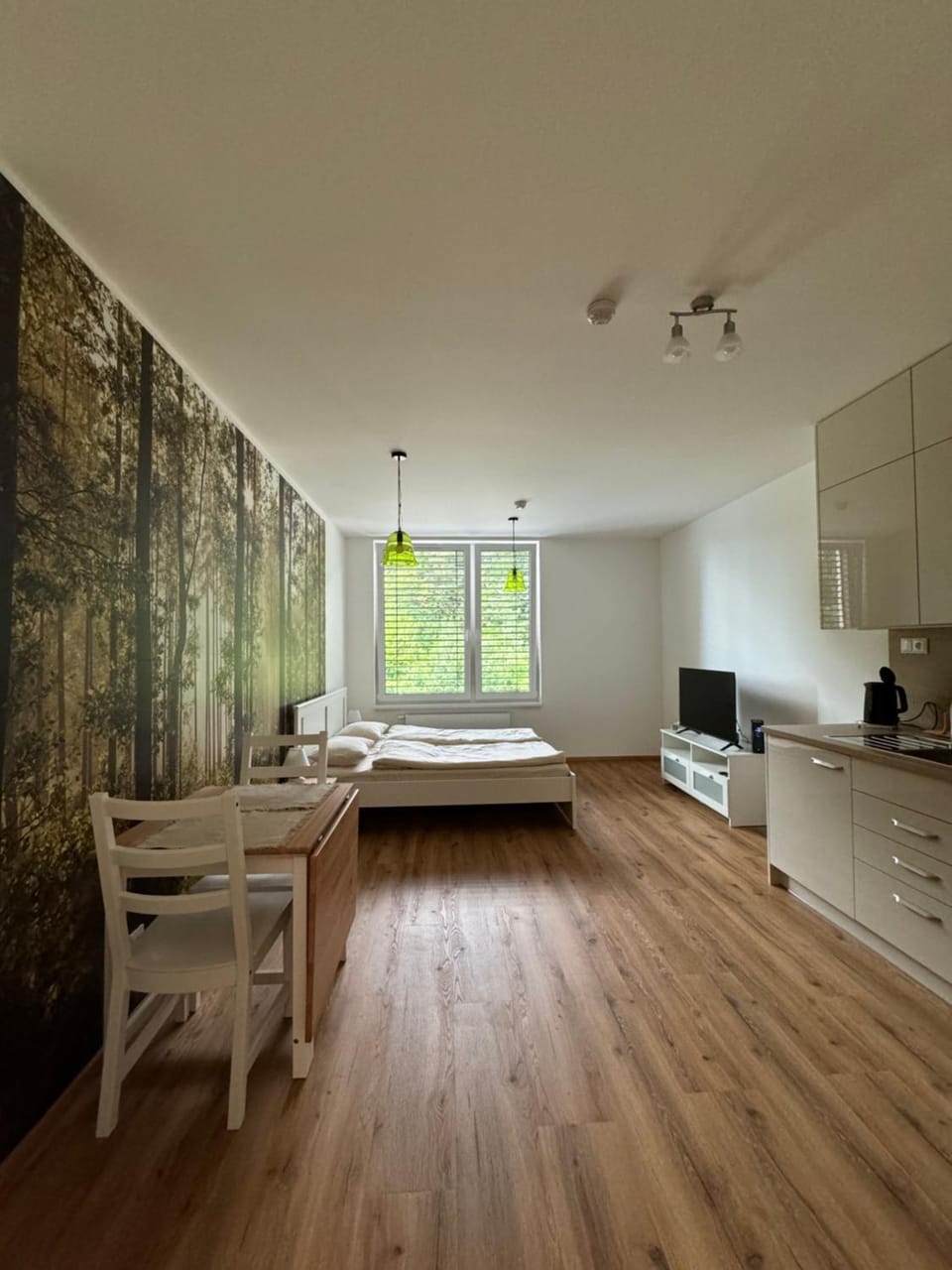 Krumlovský Vltavín Apartment in Cesky Krumlov