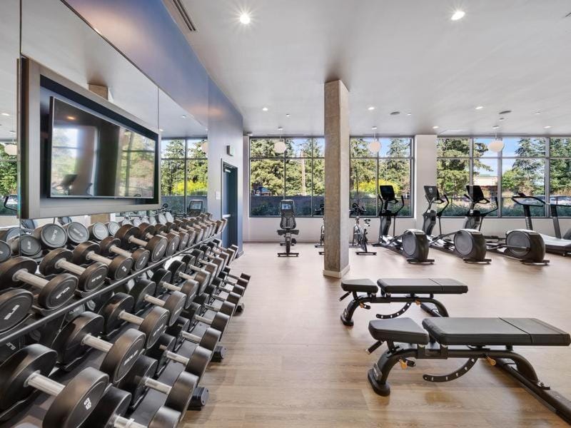 Spacious 1Bedroom 1bath Heart of Redmond Apartment in Redmond