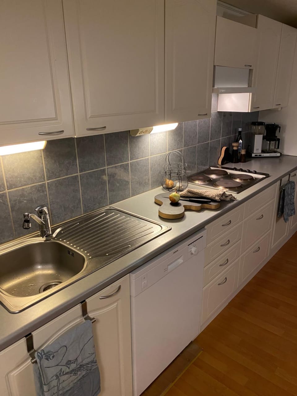 Kitchen or kitchenette, dishwasher