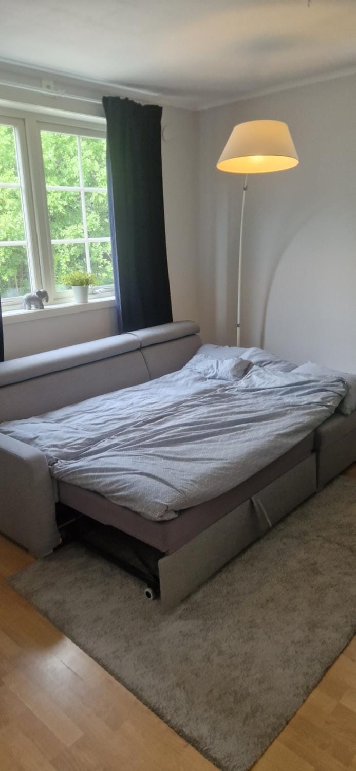 Fjärilsgatan Apartment in Sweden