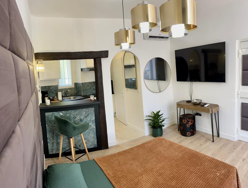 Le petit Carlthon appart Apartment in Cannes