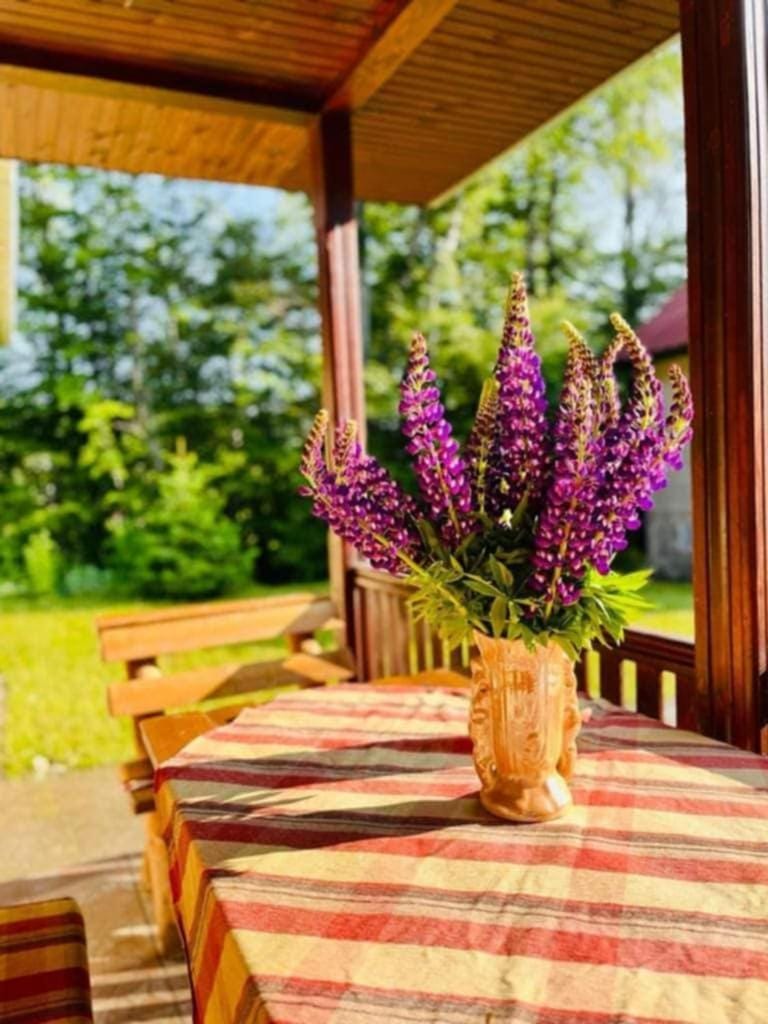 Vila Krunica House in Serbia