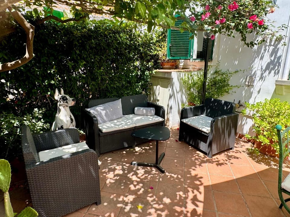 Garden, Garden