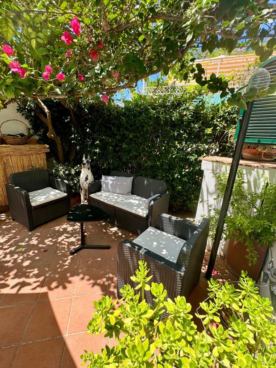 Garden, Garden