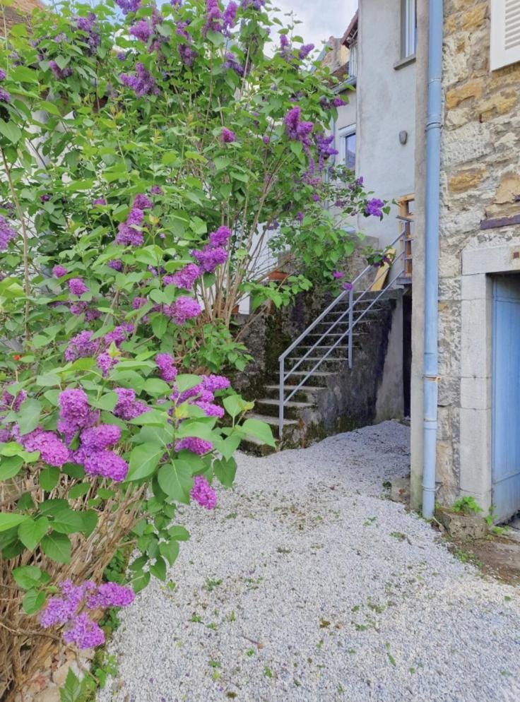 Le lynx boréal, centre historique avec jardin Apartment in Jura