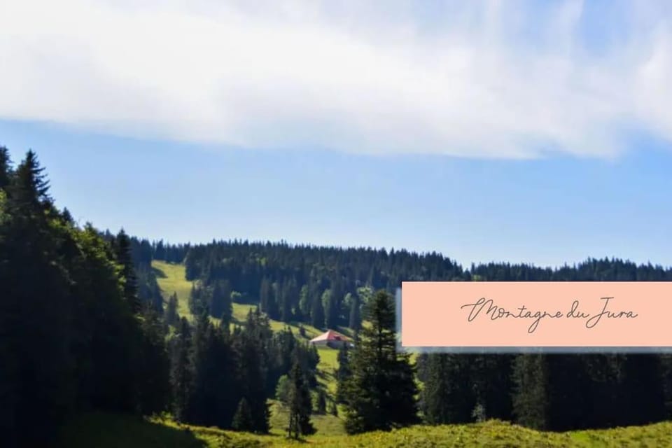 L'orchidée sauvage, au coeur du centre historique Apartment in Jura