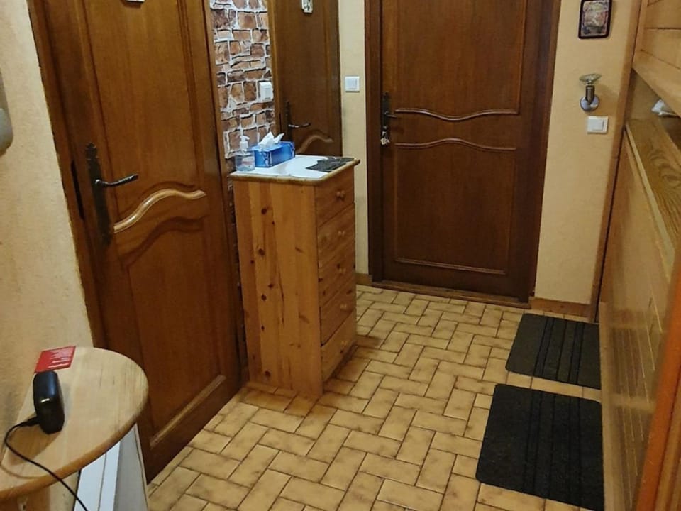 Appartement 2 pièces près des remontées - Châtel - FR-1-676-185 Apartment in Châtel