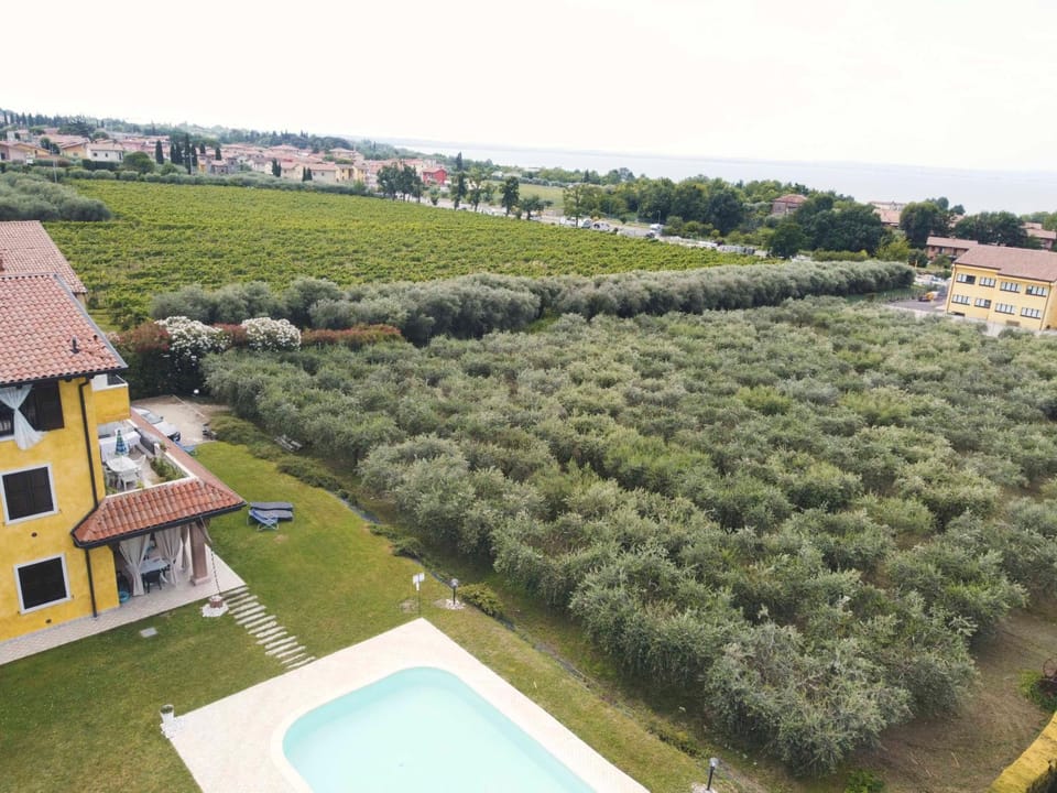Natural landscape, Garden view, Lake view, Pool view, Swimming pool