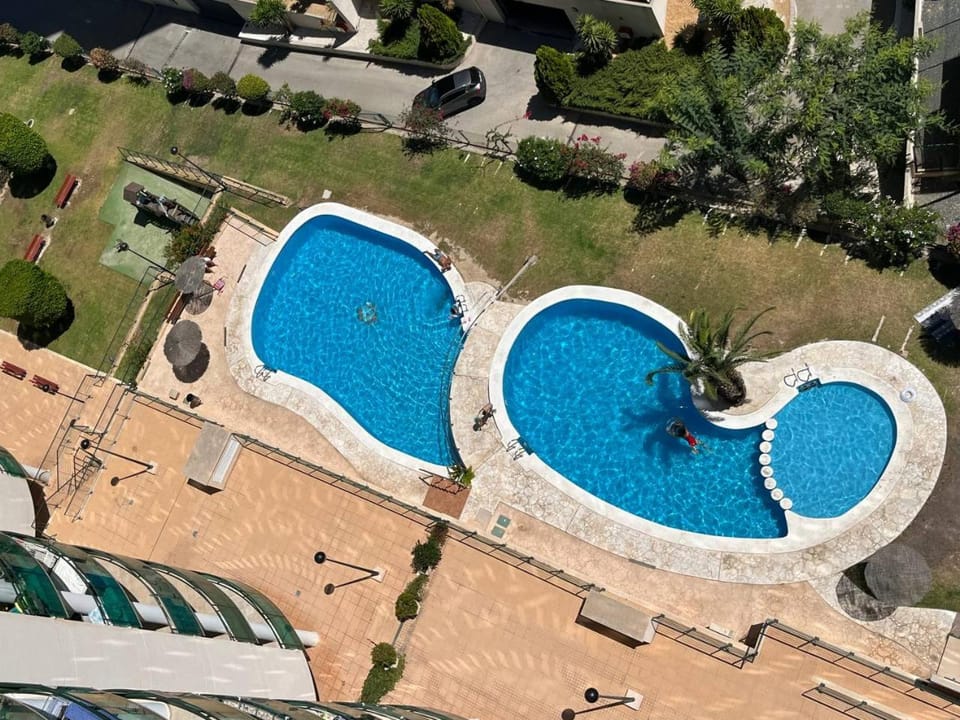 Day, Pool view, Swimming pool