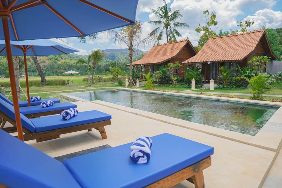 Pool view, Swimming pool, sunbed, towels
