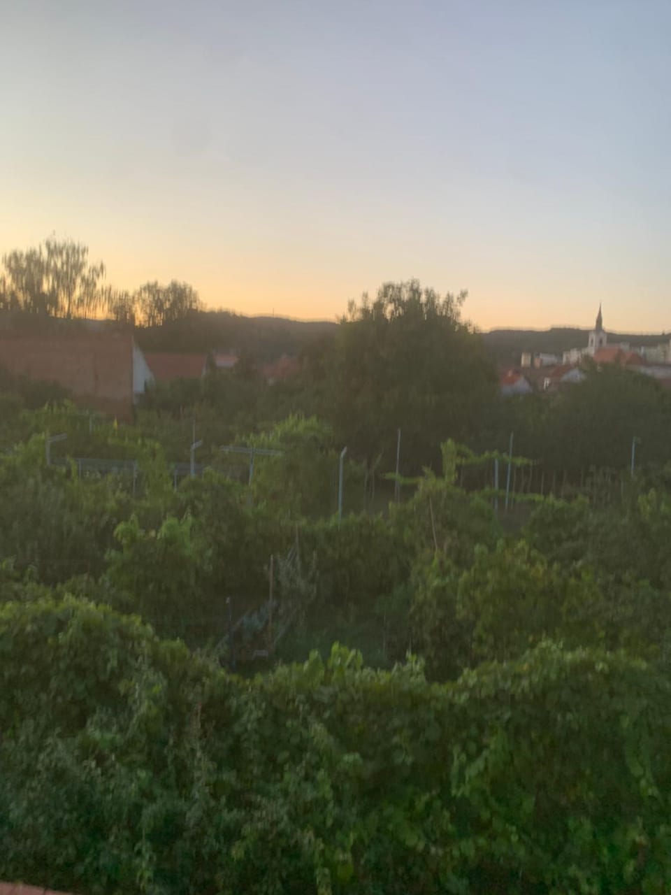 Anastasia&ale pension Villa in Romania