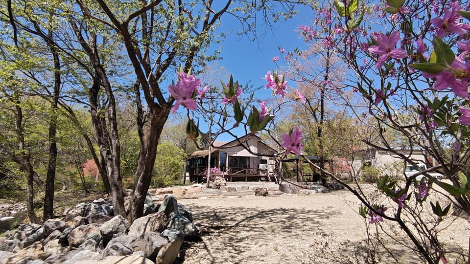Property building, Spring, Day, Garden