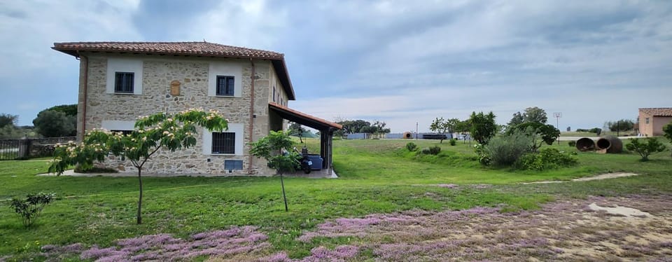 Property building, Garden