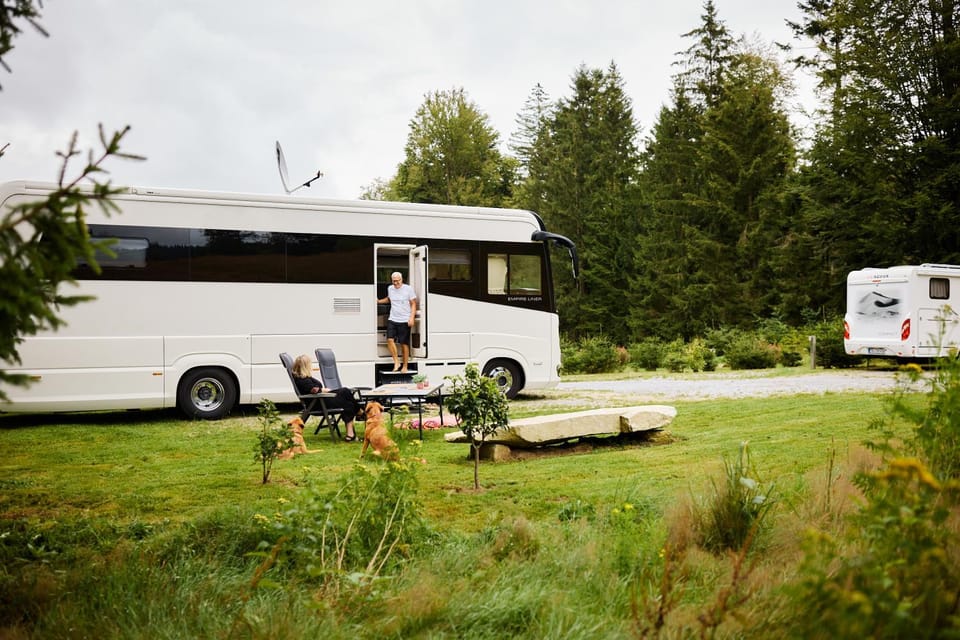 Natural landscape, Garden, Garden view, group of guests