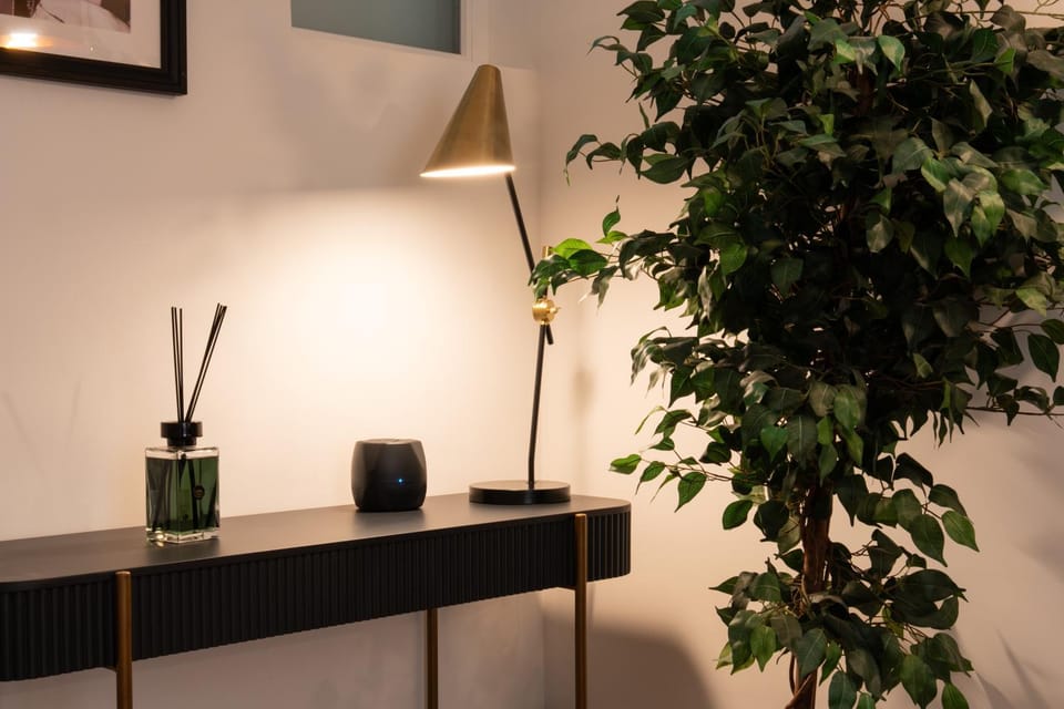 furniture, internet