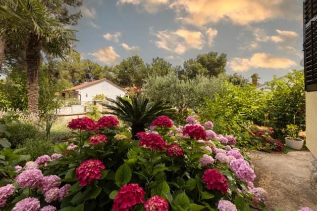 Amelia Apartment in Mali Losinj