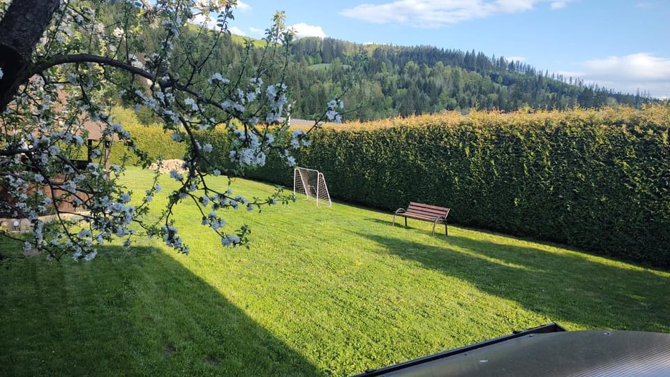 Day, Natural landscape, Garden, Seating area