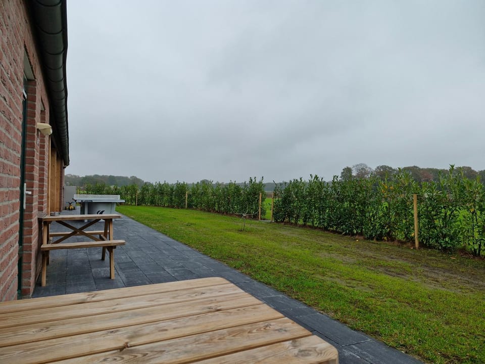 Day, Natural landscape, Garden, Garden view