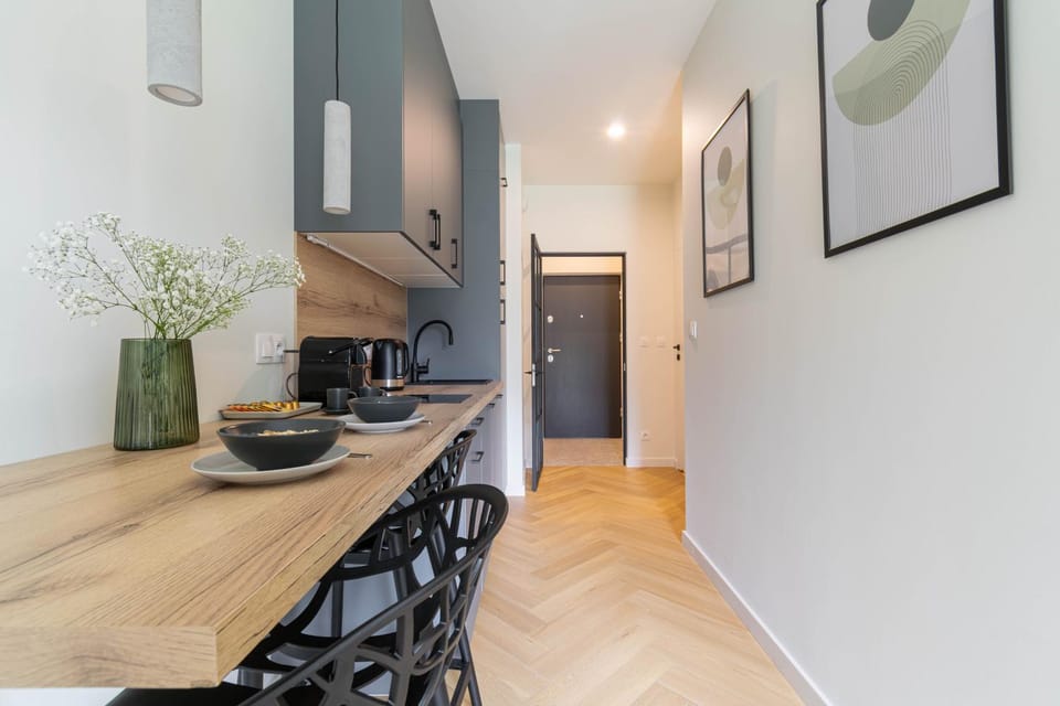 Verde Kato Apartment Francuska - FREE PARKING - Self check-in Apartment in Poland