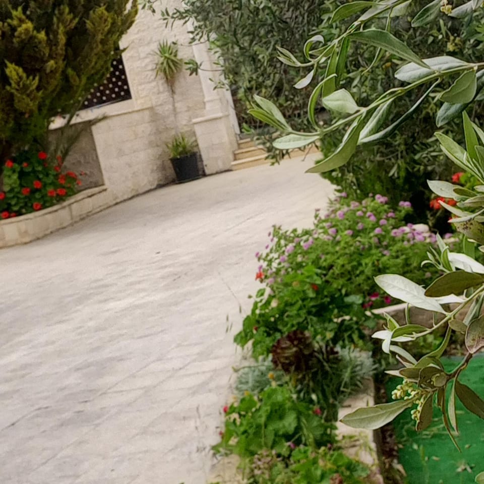 البيت الريفي near ma'in hot springs House in Africa