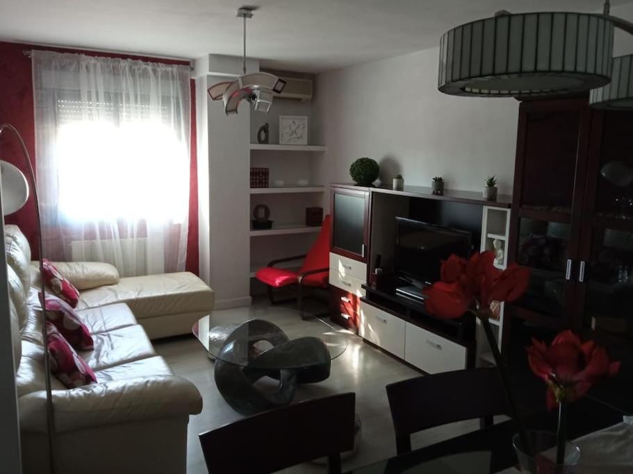 Piso Auringis Apartment in Jaén