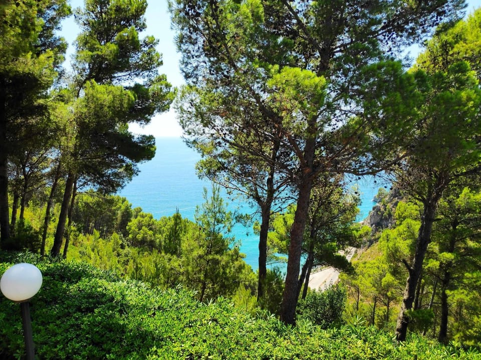 Natural landscape