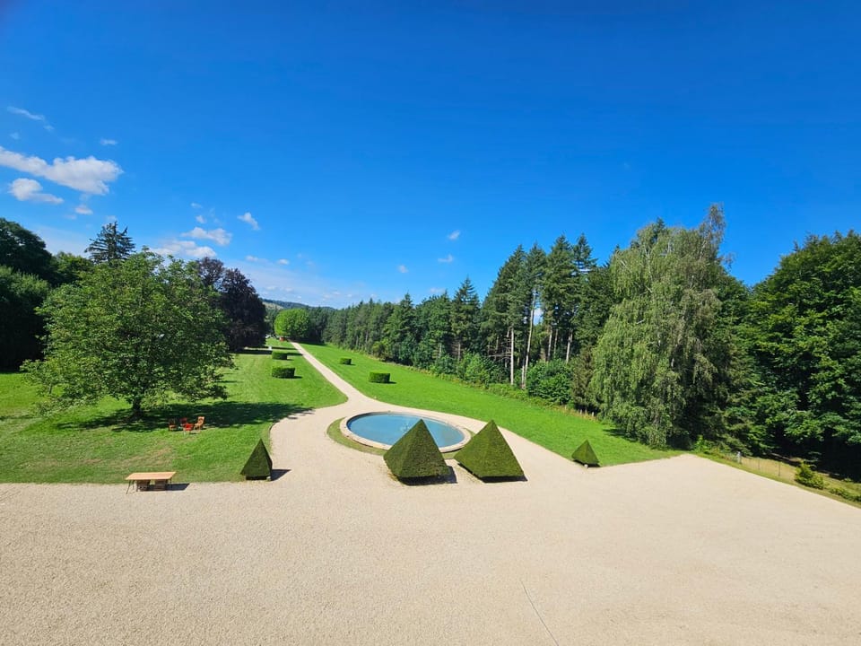 Garden view