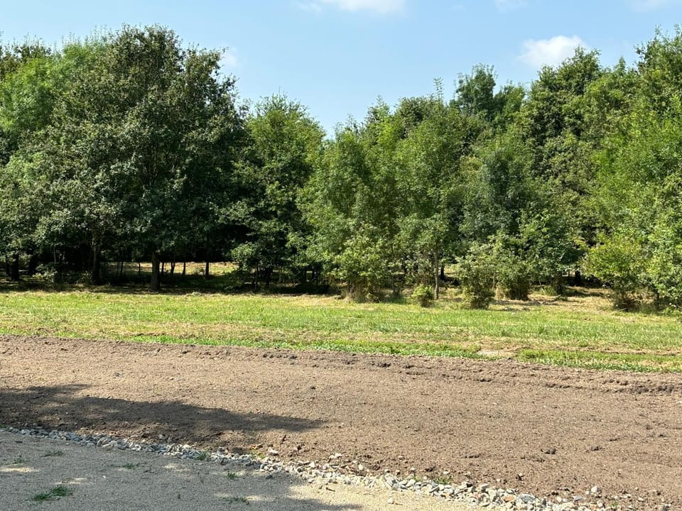 Garden, Garden view