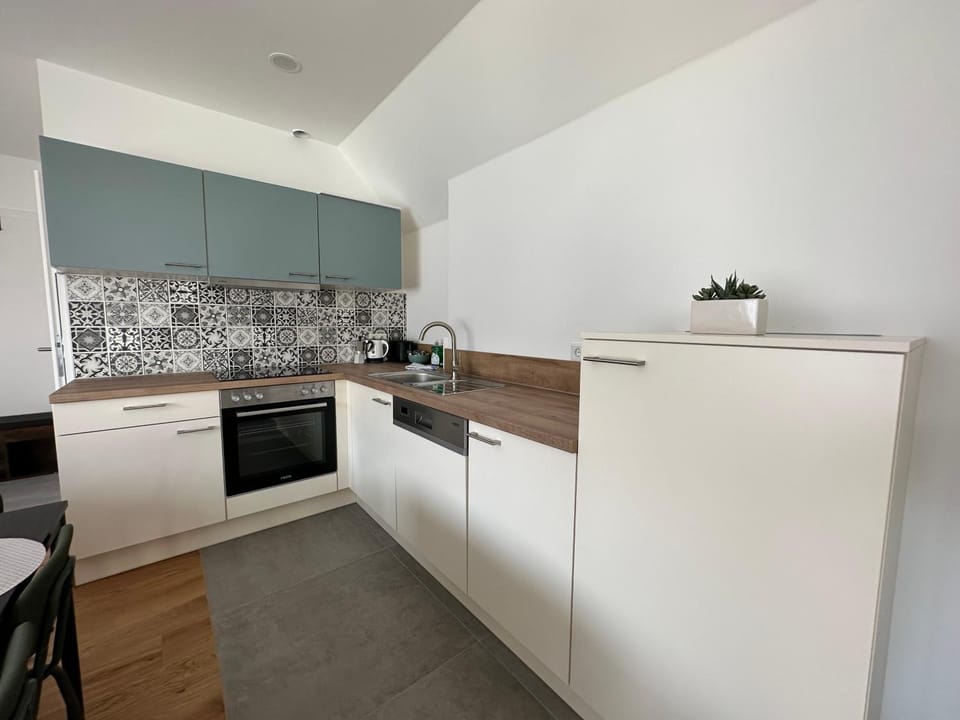 Kitchen or kitchenette, dishwasher, oven, stove