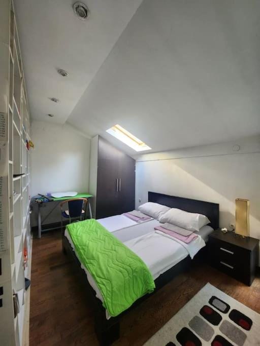 Wenge Apartment in Belgrade
