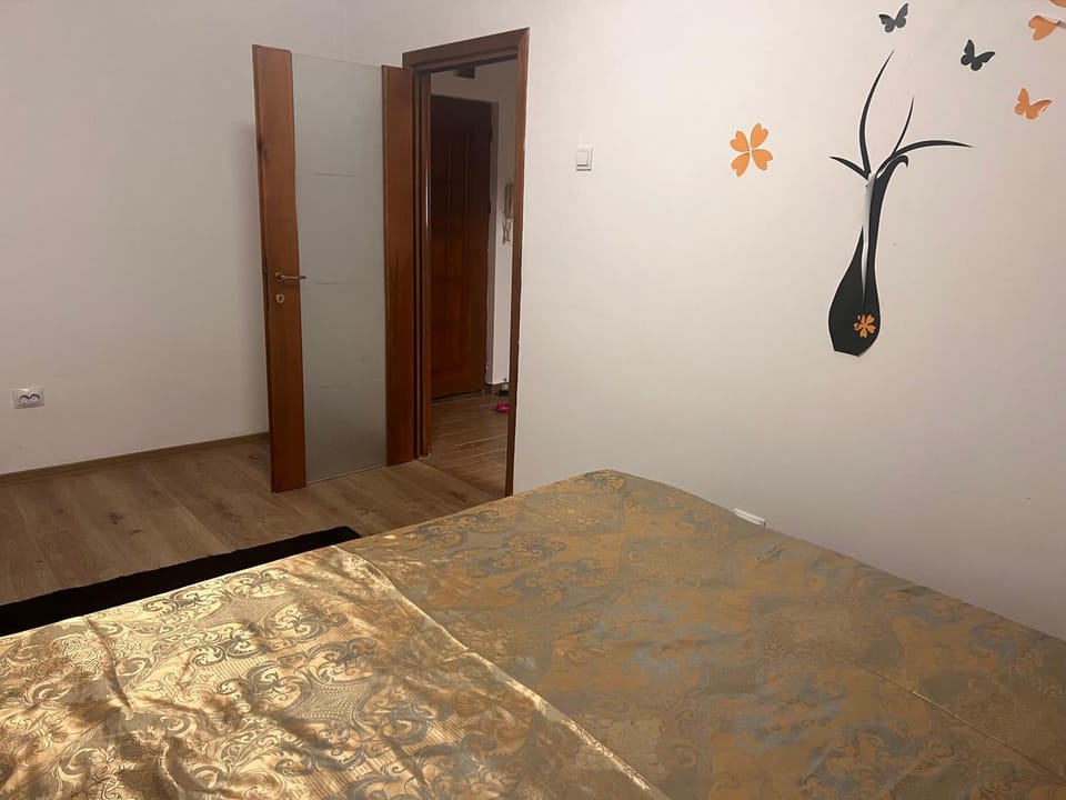 Apartament ultracentral Apartment in Moldova