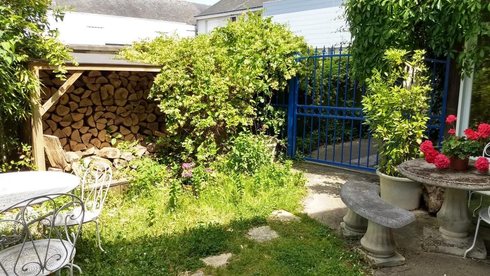 Logement cosy proche gare avec terrasse de verdure Apartment in Saumur