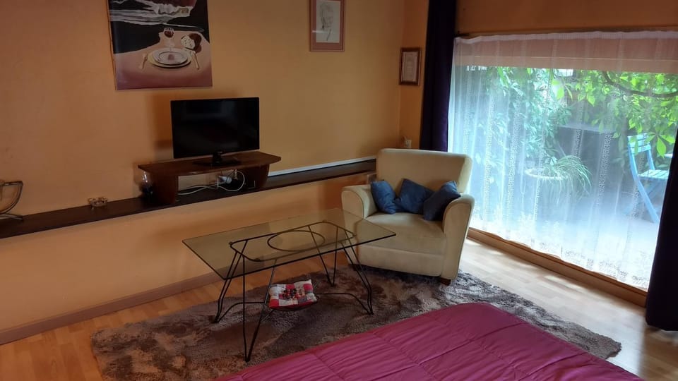 Logement cosy proche gare avec terrasse de verdure Apartment in Saumur
