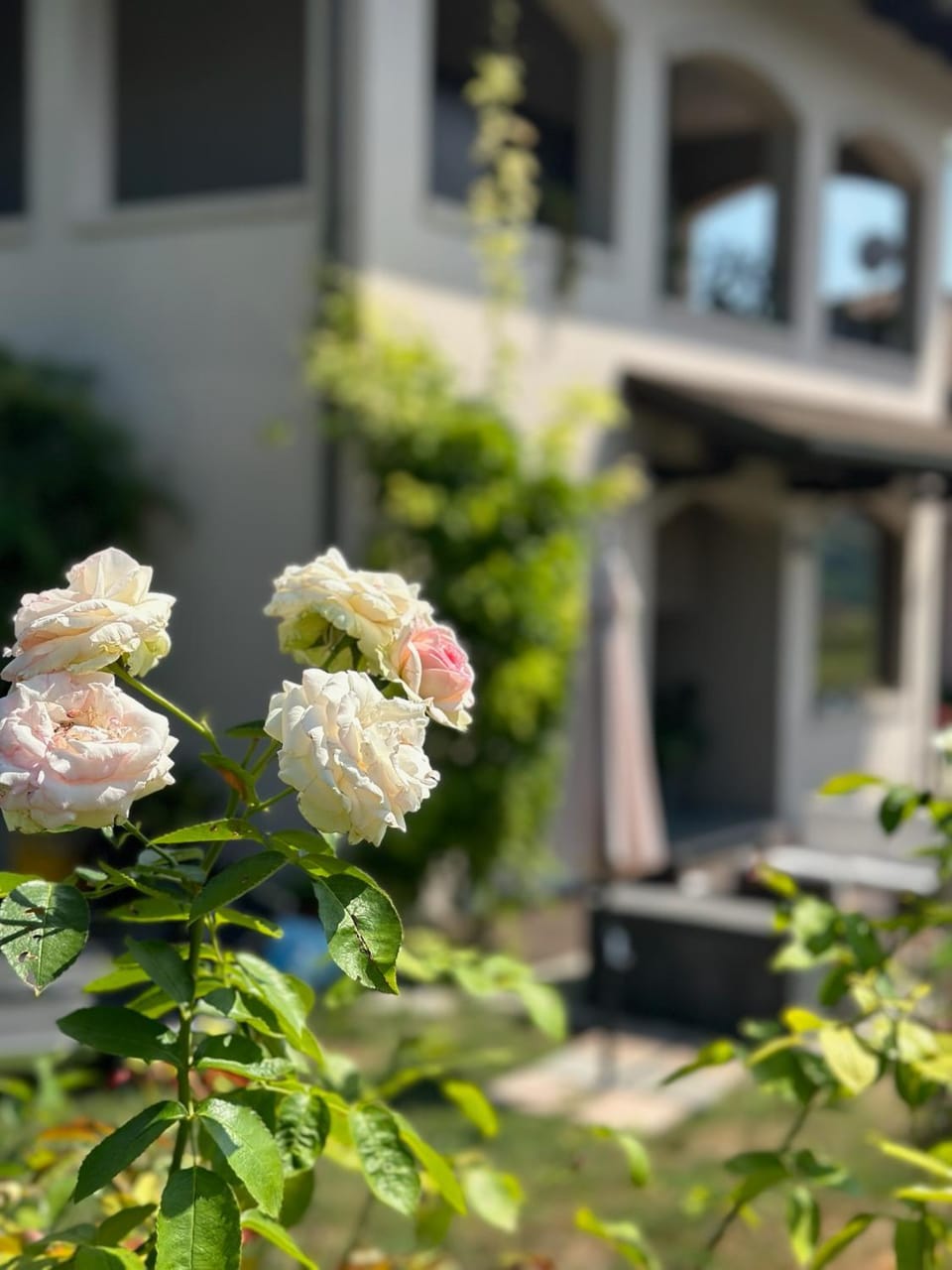 Garden, Garden view