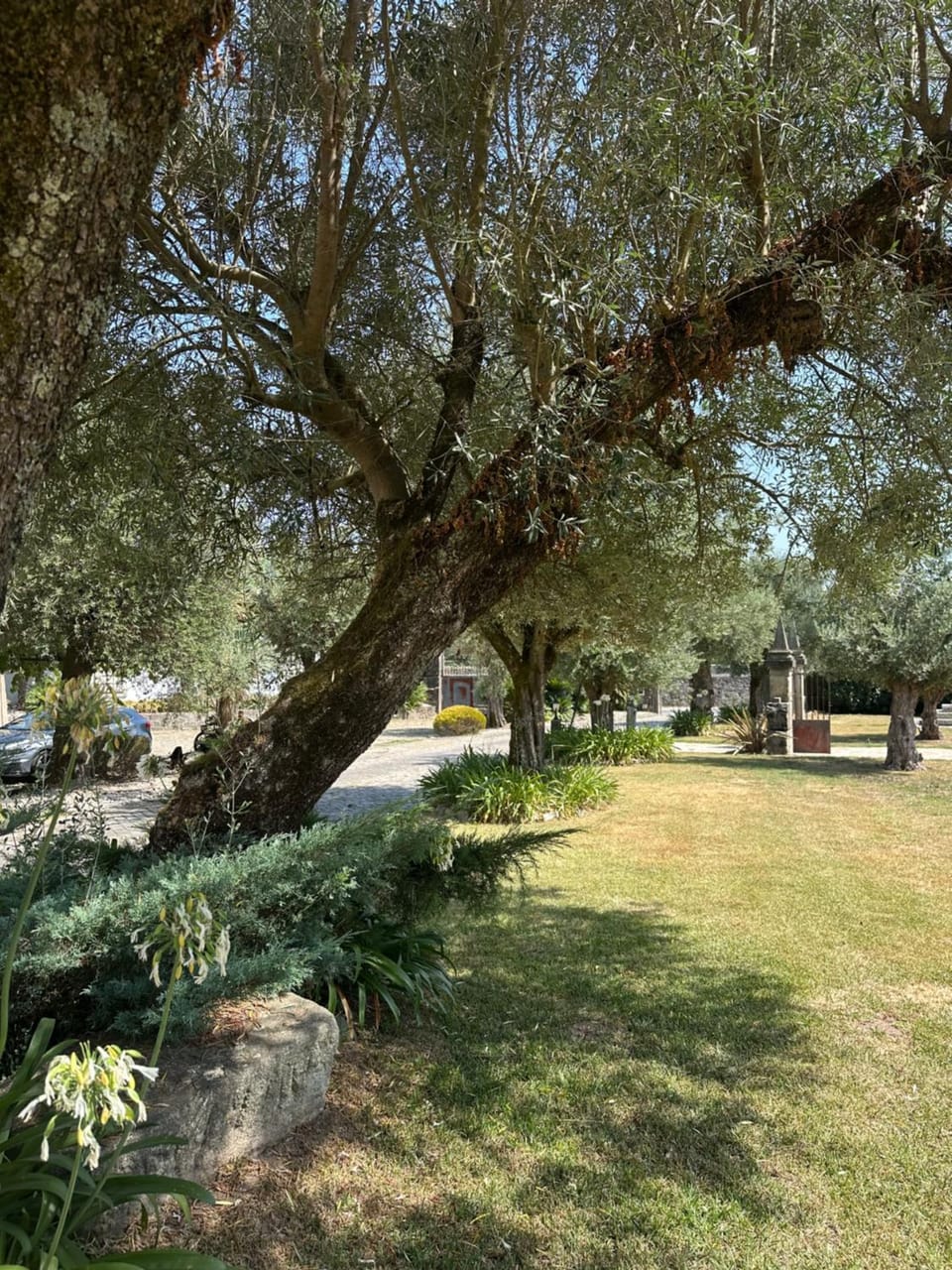 Residência das Louras Vacation rental in Viana do Castelo