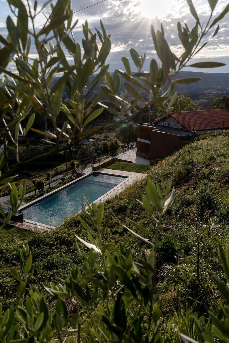 Natural landscape, Garden, Swimming pool, Swimming pool
