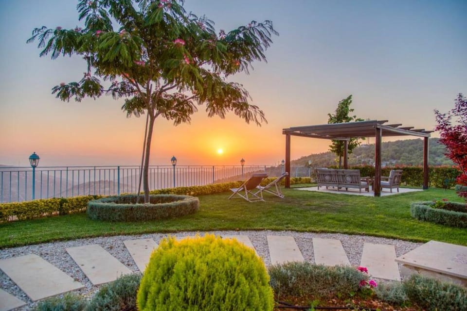 Garden, Garden, Mountain view, Mountain view