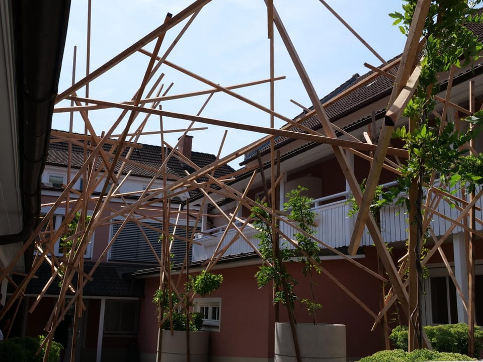 Garden view