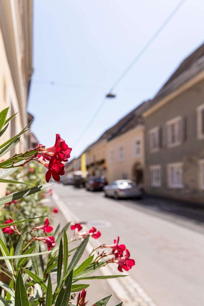 Neighbourhood, Street view, Location