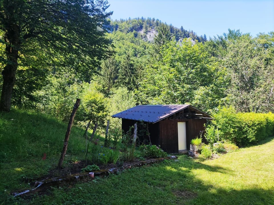 Garden view
