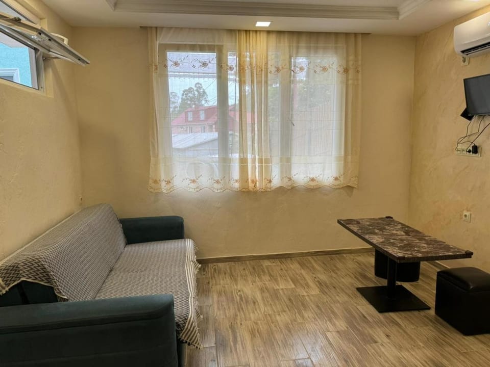 TV and multimedia, Living room, Seating area, air conditioner