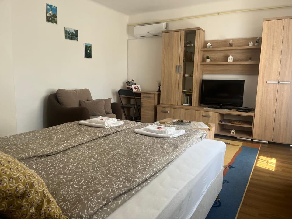 Bed, Photo of the whole room, Seating area, wardrobe, air conditioner
