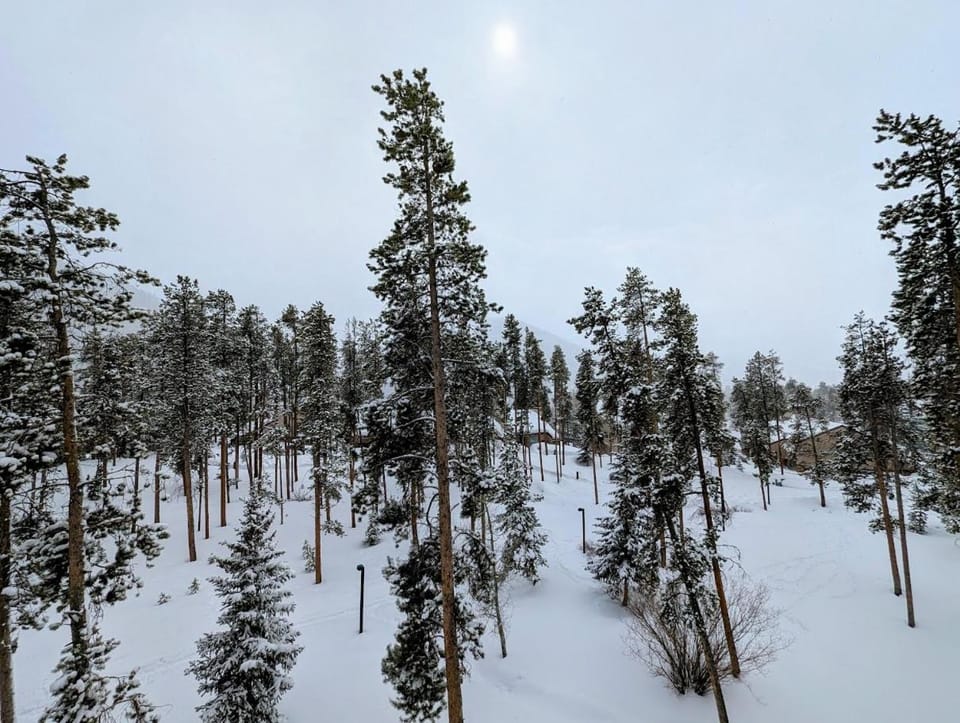 Quicksilver 1665 by SummitCove Lodging in Colorado House in Keystone