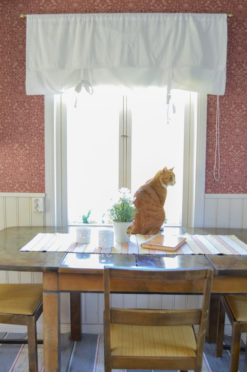 Dining area, Pets, Pets, pet friendly