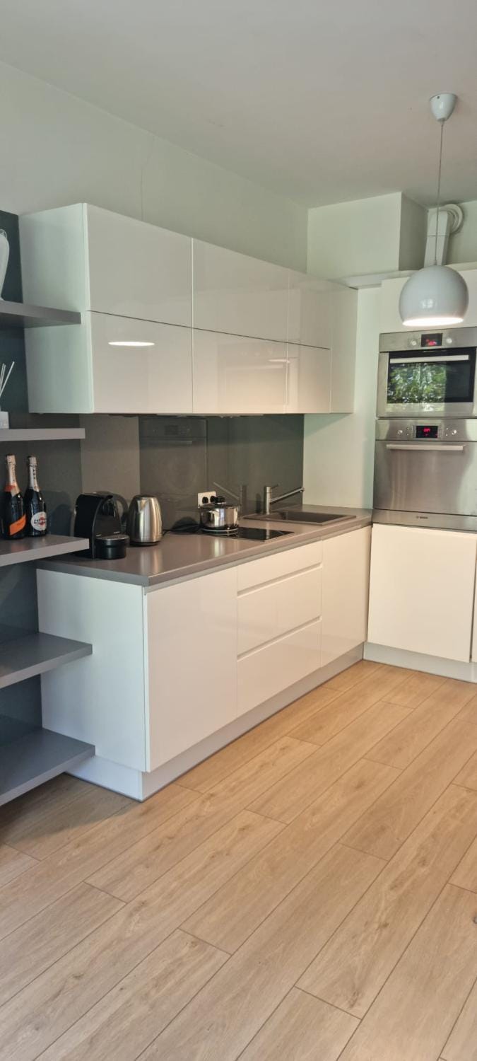 Kitchen or kitchenette, dishwasher, stove